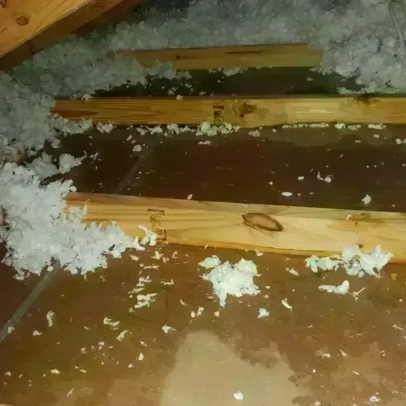 Attic Water Damage in Burleson, TX