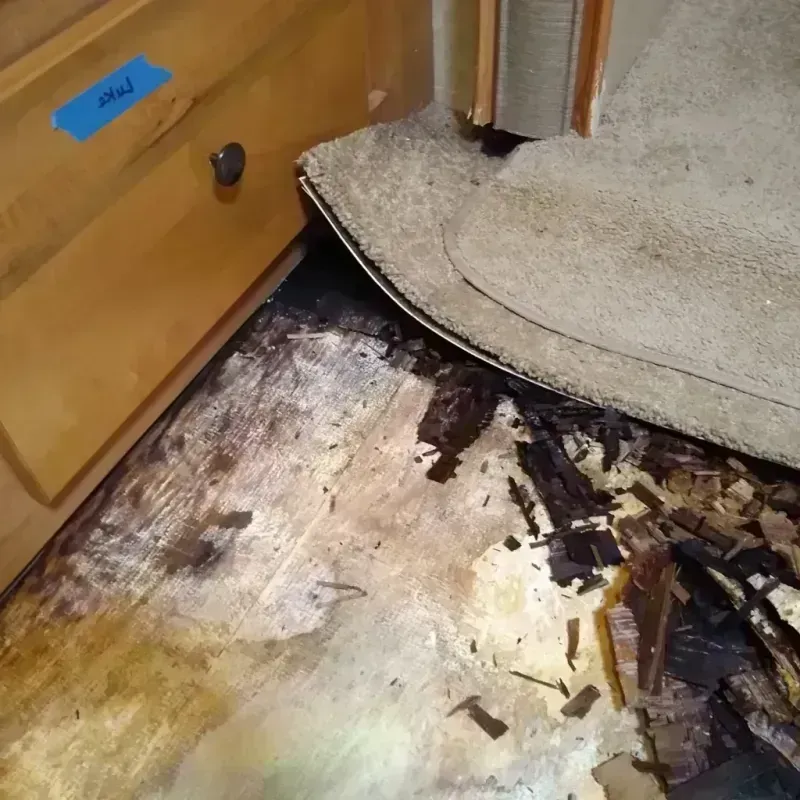 Wood Floor Water Damage in Burleson, TX